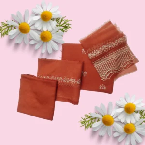 Premium Embroidered Dhanak 3 PCs Suit – Article 2